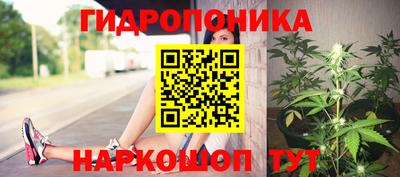 шишки Кулебаки