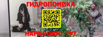 шишки Кулебаки